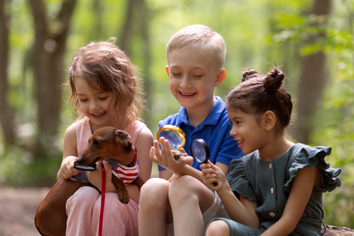 The Concept of Friendship in Childhood 