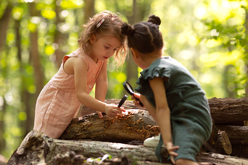 Learning to Share – Supporting Children´s Sharing Skills